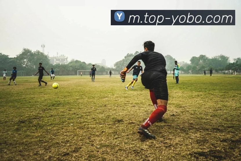 App Interface Preview