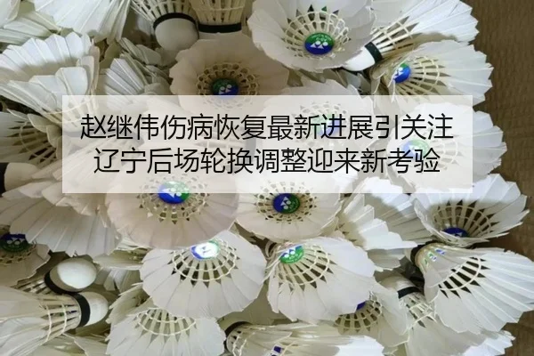 赵继伟伤病恢复最新进展引关注 辽宁后场轮换调整迎来新考验